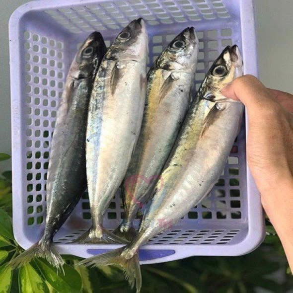 Nhóm thực phẩm giàu omega-3 như cá béo tốt cho sức khỏe.