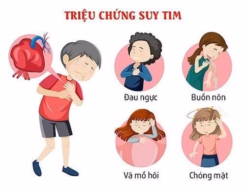 suy-tim.jpg