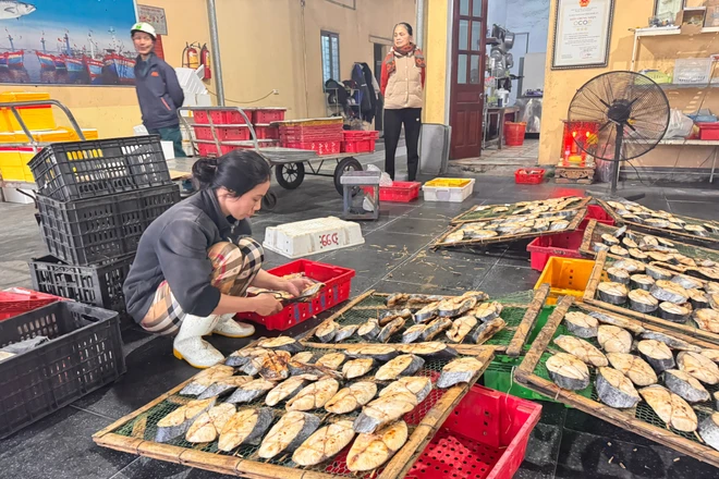 Giữ lửa làng biển Cửa Lò trong mùa cá thu nướng Tết