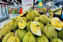 Xuất khẩu mít tăng trưởng mạnh nhờ thông đường chính ngạch