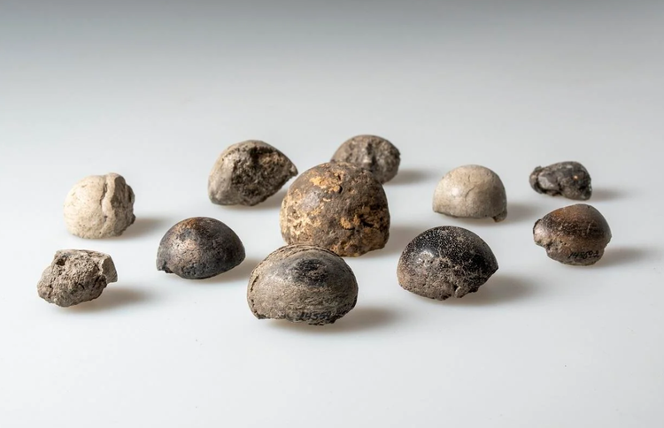 Archeologové navíc našli důkazy o vikingském zemědělském životě: pečení chleba, výrobě železa a zemědělství. Foto: @Swedish Archaeologerna. 8-4976.png