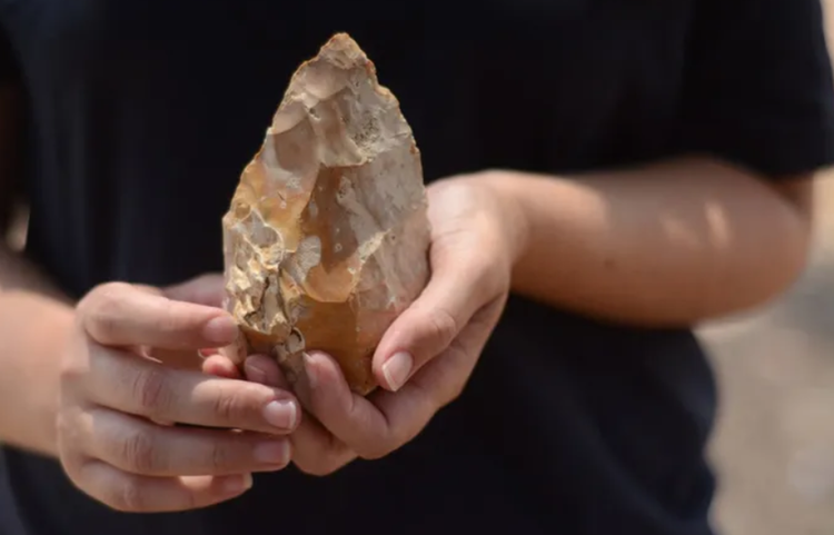 Bland de tusentals hittade artefakterna upptäckte forskare en dubbelsidig handyxa och flintaverktyg tillverkade med en komplex form av teknologi. Foto: @Tel Aviv University. 6-9229.png