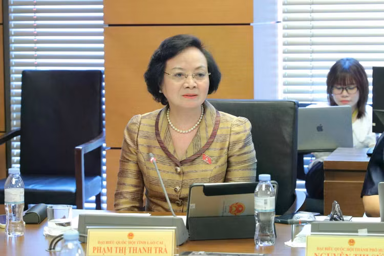 pho-thu-tuong-pham-thi-thanh-tra-1544.jpg
