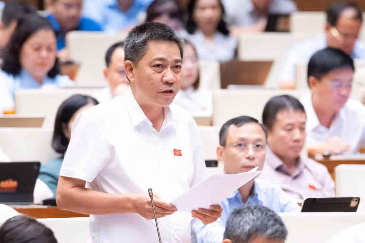 202608101459143697z81364626241163d93cccc328fcddf450d47393138e863-17863531226461334115197.jpg