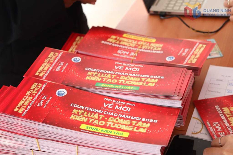 batvd15291225nguoi-dan-hao-huc-doi-ve-countdown-chao-nam-moi-20267.jpg