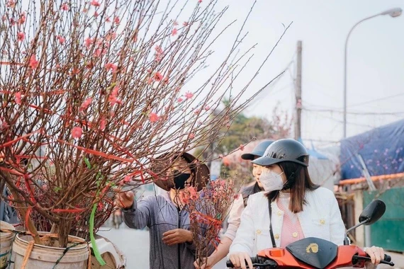 Thời tiết miền Bắc ngày cận Tết, nắng ấm trước khi chuyển mưa rét