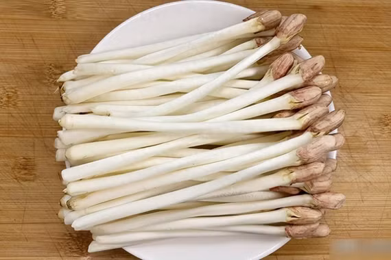 Loại rau mầm trường thọ, protein gấp 8 lần sữa, giòn ngon bất ngờ