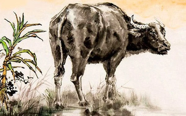 Dự đoán ngày mới 21/2/2026 cho 12 con giáp: Sửu phức tạp