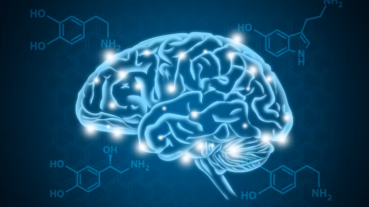 lam-sao-de-tang-dopamine-ma-khong-dung-thuoc.png