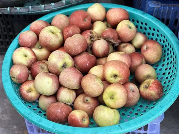 Loai qua an moi ngay ngua 8 loai ung thu, tot cho suc khoe