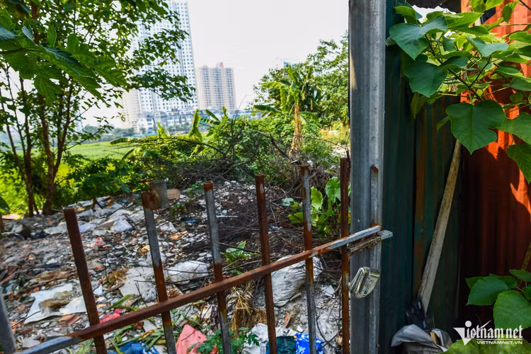 Hien trang ho bi san lap trai phep giua Thu do-Hinh-8