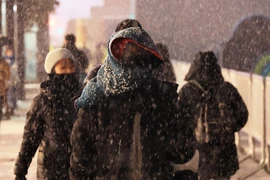 Cảnh tuyết rơi đầu mùa ở thủ đô Hàn Quốc