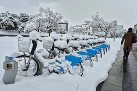 Hình ảnh tuyết rơi dày ở Nhật Bản, hàng chục người thiệt mạng