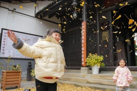 Cảnh yên bình trong thị trấn cổ ở Trung Quốc