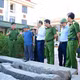 Phát hiện nhóm trộm cắp cầu đá cổ tại Hải Phòng