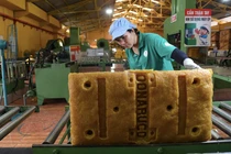 Donaruco đặt kế hoạch lợi nhuận 2025 đi lùi, thu nhập 2024 bình quân NLĐ 14 triệu đồng/tháng