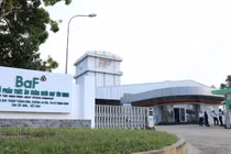 BAF báo lãi 195 tỷ đồng trong quý 2