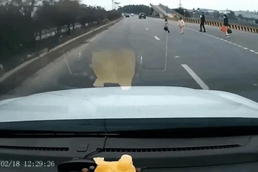 Để con nhỏ chạy qua cao tốc, thái độ của cha mẹ gây tranh cãi