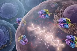 Enzyme CRISPR mới có thể tiêu diệt ung thư bằng cách cắt nhỏ DNA