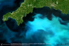 Sắc xanh ngọc của Biển Đen nhìn từ không gian qua ảnh vệ tinh NASA