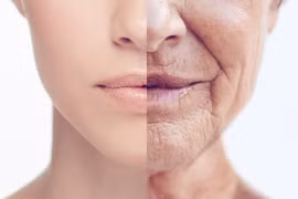 Tạo ra enzym 'cải lão hoàn đồng' cho mô người 