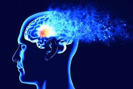 Các cụm protein nhỏ gây Alzheimer âm thầm phá hoại tế bào thần kinh