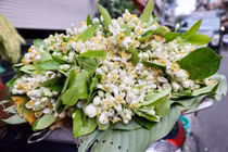 Hoa bưởi xuống phố, giá tiền triệu vẫn hút khách