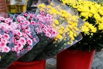 Đồ lễ, hoa tươi sôi động ngày rằm tháng Giêng tại Hà Nội 