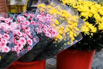 Đồ lễ, hoa tươi sôi động ngày rằm tháng Giêng tại Hà Nội 