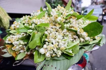 Hoa bưởi xuống phố, giá tiền triệu vẫn hút khách