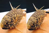 Loài cá biển quý hiếm nửa triệu đồng/kg