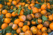 Quýt sim giá rẻ đổ bộ thị trường Việt 