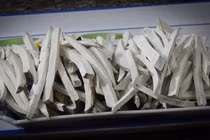 Món ăn dân dã 'lên đời' thành đặc sản hút khách thành phố