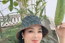 Vườn sân thượng trĩu quả của biệt thự 1000m2 của Giáng My