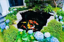 Ngắm biệt thự rực sắc hoa của "sao nữ giàu nhất miền Bắc"