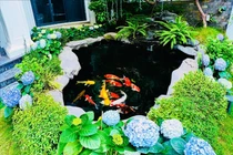 Ngắm biệt thự rực sắc hoa của "sao nữ giàu nhất miền Bắc"