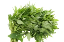 Bất ngờ loại rau dân dã thành đặc sản đắt đỏ 