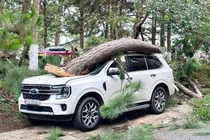 Cách bảo vệ ôtô khỏi cây đổ, ngập nước trước bão số 3 Wipha