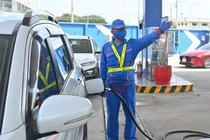 Loại ôtô nào tại Việt Nam có thể sử dụng được xăng E10?