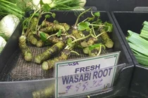 Tận mục loại củ đắt nhất thế giới 6 triệu đồng/kg 