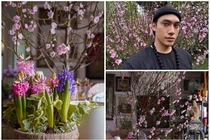 Ngôi nhà ngập hoa đào đón Tết của NTK Lý Quí Khánh