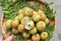 Quả mọc hoang dại bỗng trở thành đặc sản hút khách ở Hà Nội