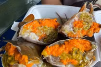 Cua gạch Cà Mau hơn nửa triệu đồng/kg hút khách 