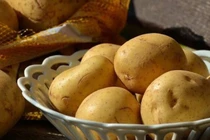 Khám phá khoai tây đắt nhất thế giới gần 30 triệu đồng/kg 