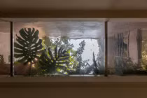 Ngôi nhà Hà Nội tận dụng không gian đứng cho gia đình 3 thế hệ