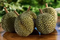 Sầu riêng Blackthorn đắt đỏ, giá cao gấp đôi các giống phổ biến tại Việt Nam