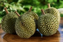 Sầu riêng Blackthorn đắt đỏ, giá cao gấp đôi các giống phổ biến tại Việt Nam