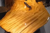 Khám phá loại gỗ quý hơn vàng ròng, không ai dám trồng