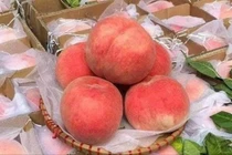 Đào tiên Trung Quốc 40.000 đồng/quả làm mưa làm gió chợ Việt