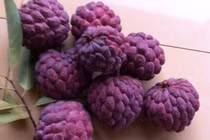 Na tím - loại quả mới nổi với vẻ đẹp và hương vị thơm ngon